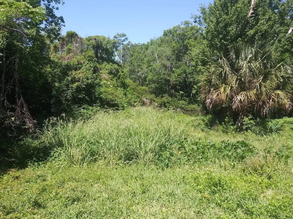 Top-rated landscaping services in Jacksonville, FL by Landscapes Jacksonville