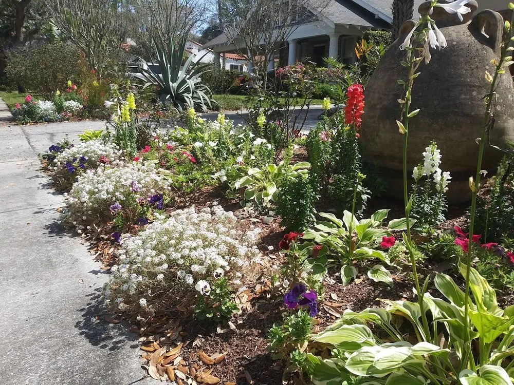 Trusted yard cleanup service for residential properties in Jacksonville, FL by Landscapes Jacksonville