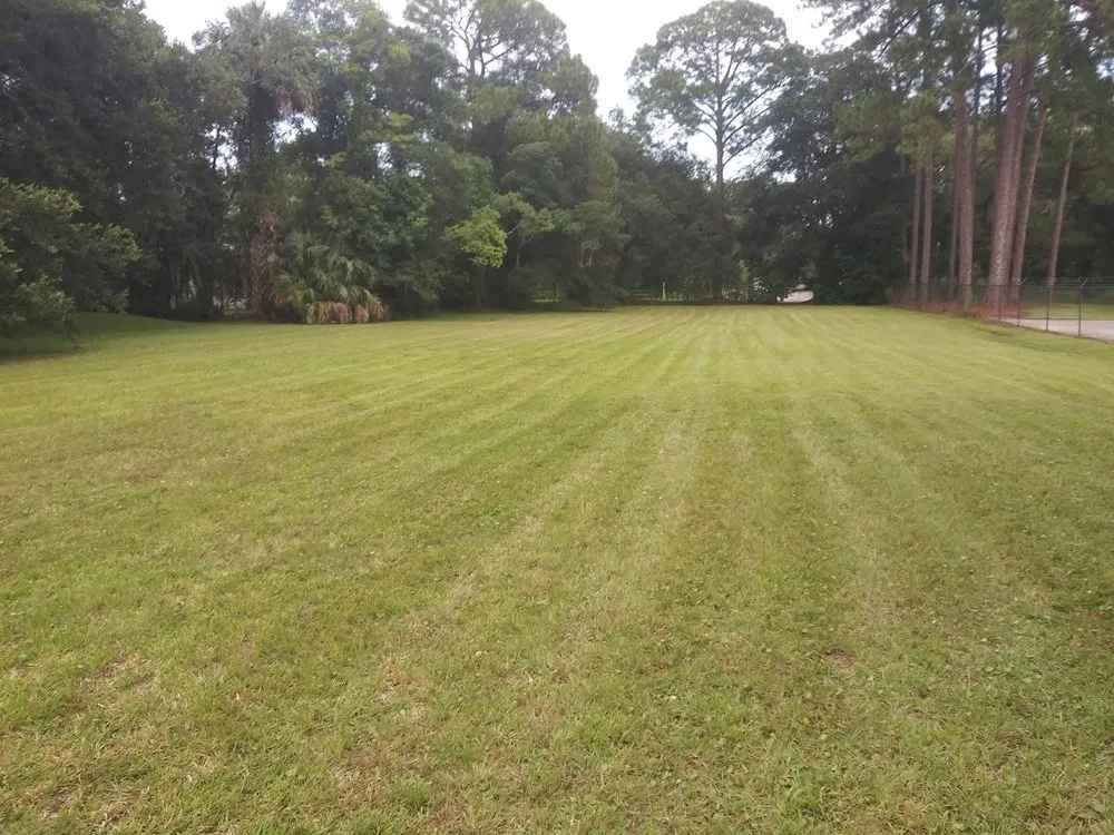 Expert garden landscaping in Jacksonville, FL by Landscapes Jacksonville