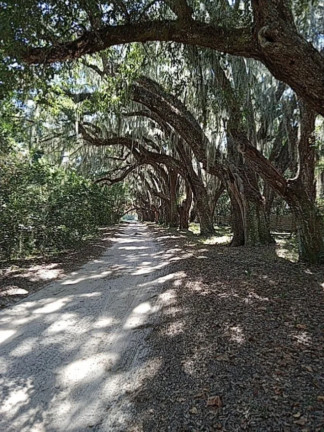 Affordable lawn mowing service in Jacksonville, FL by Landscapes Jacksonville