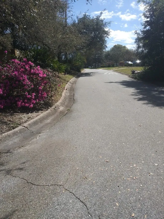 Local outdoor landscaping for year-round maintenance in Jacksonville, FL by Landscapes Jacksonville