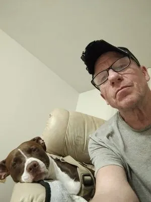 Landscapes Lawns And Leisure Logo