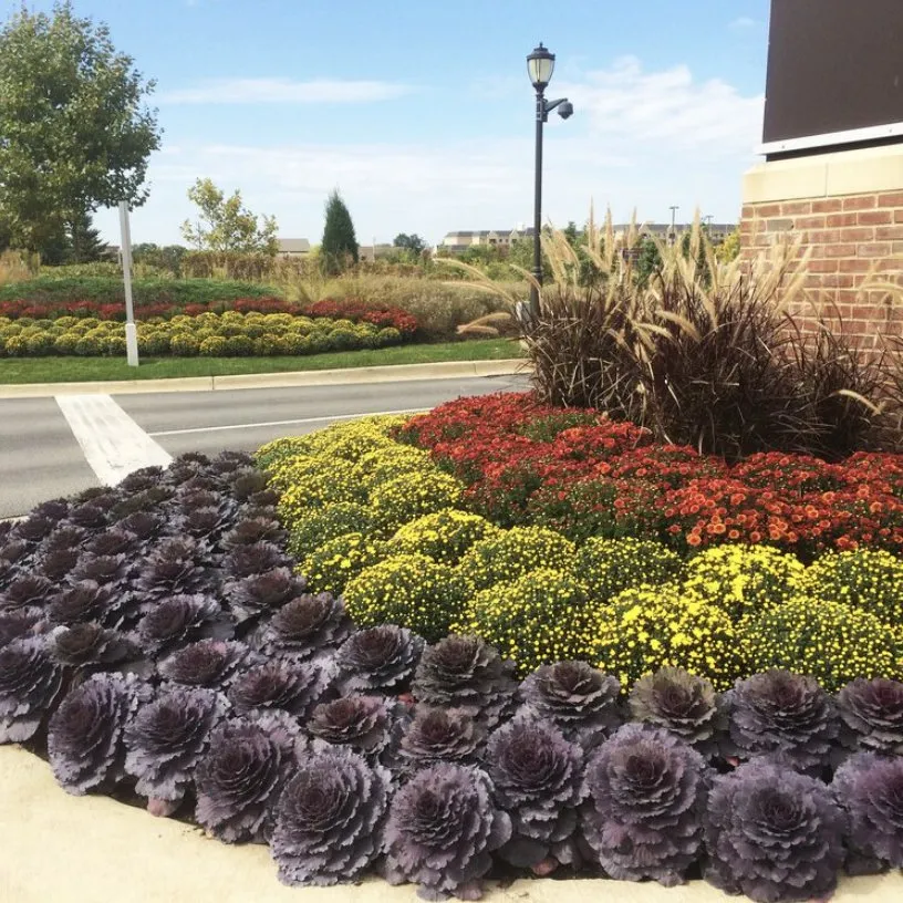 Custom lawn care service in Fort Worth, TX by Landscapes of Fort Worth