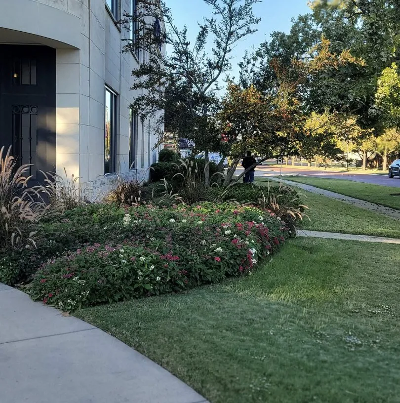 Expert lawn mowing service in Fort Worth, TX - Landscapes of Fort Worth