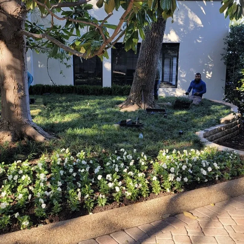 Expert landscape installation in Fort Worth, TX - Landscapes of Fort Worth