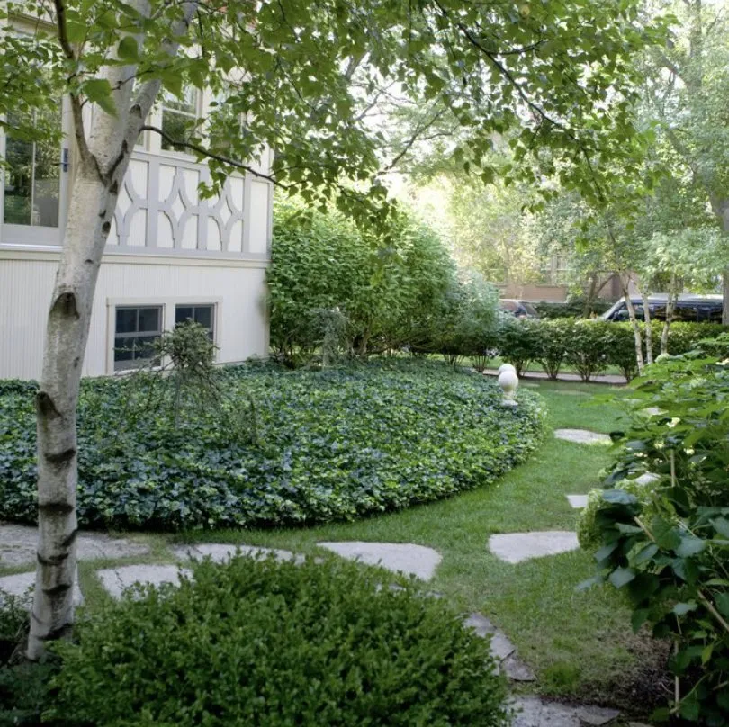 Professional landscaping services near you in Fort Worth, TX by Landscapes of Fort Worth