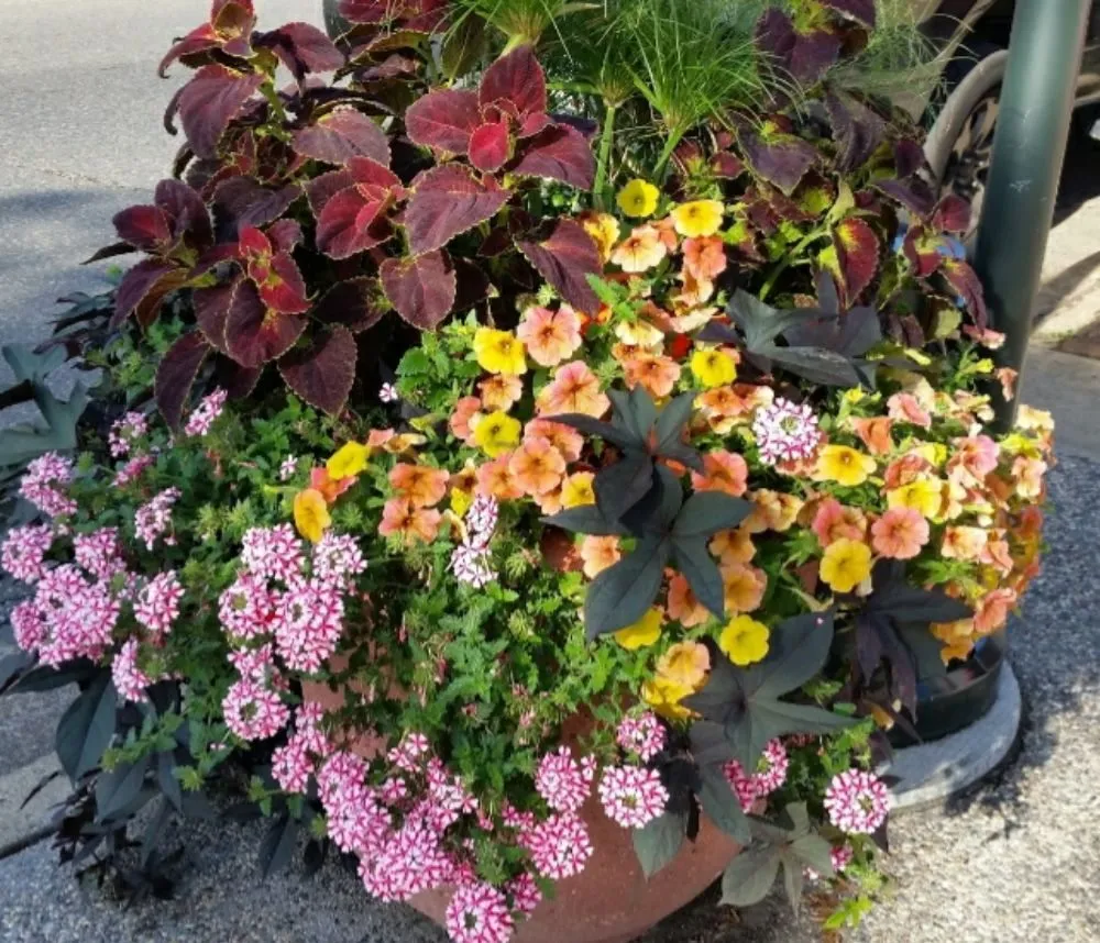 Top-rated lawn mowing service in Hayward, WI by Landscapes on Main