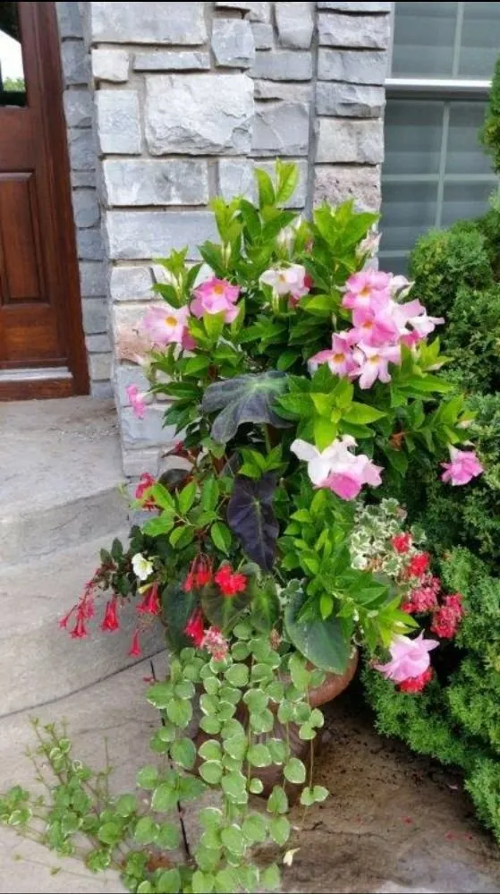 Affordable residential landscaping in Hayward, WI by Landscapes on Main