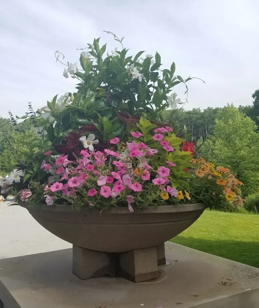 Professional outdoor landscaping for outdoor upgrades in Hayward, WI by Landscapes on Main