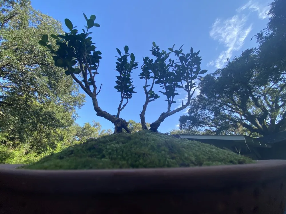 Trusted lawn care service experts serving Pearl River, LA - LandScapes