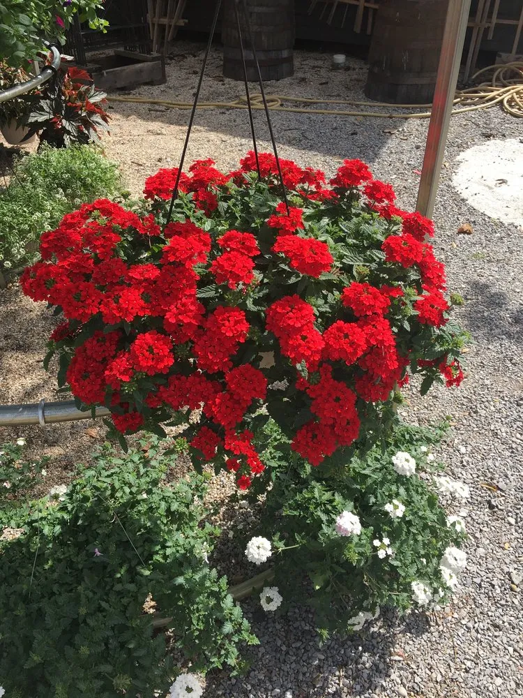 Expert outdoor landscaping experts serving Pearl River, LA - LandScapes