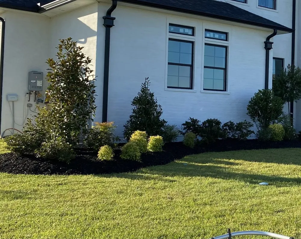 Professional lawn care service experts serving Pearl River, LA - LandScapes
