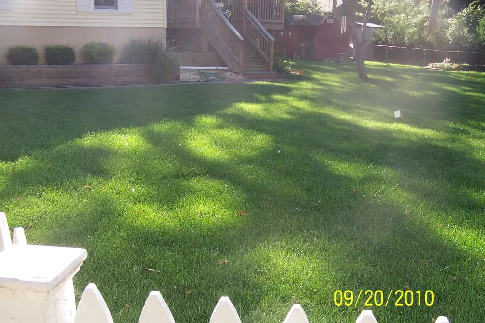 Custom yard cleanup service in Scotch Plains, NJ - Landscapes