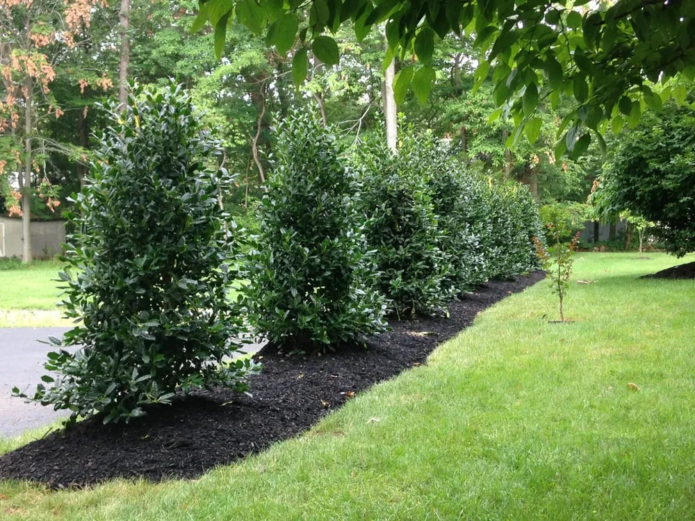 Trusted landscape installation in Scotch Plains, NJ by Landscapes