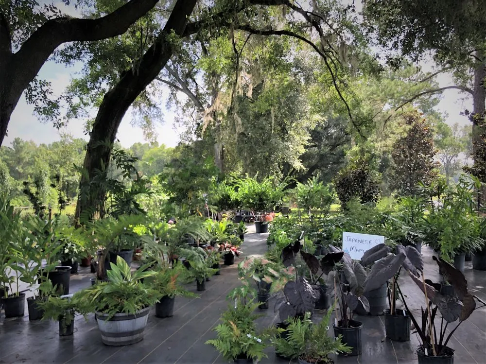 Custom landscaping services for residential properties across Alachua, FL - Landscapes Unlimited Nursery