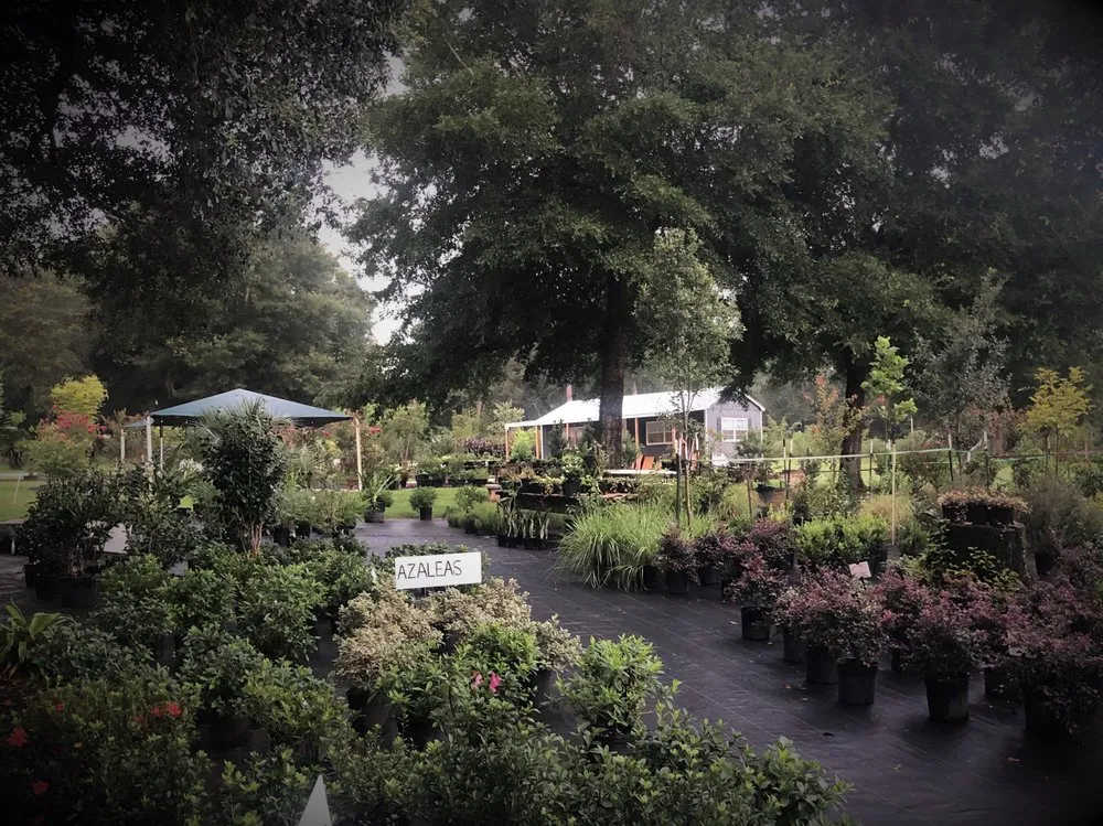 Custom yard cleanup service in Alachua, FL by Landscapes Unlimited Nursery