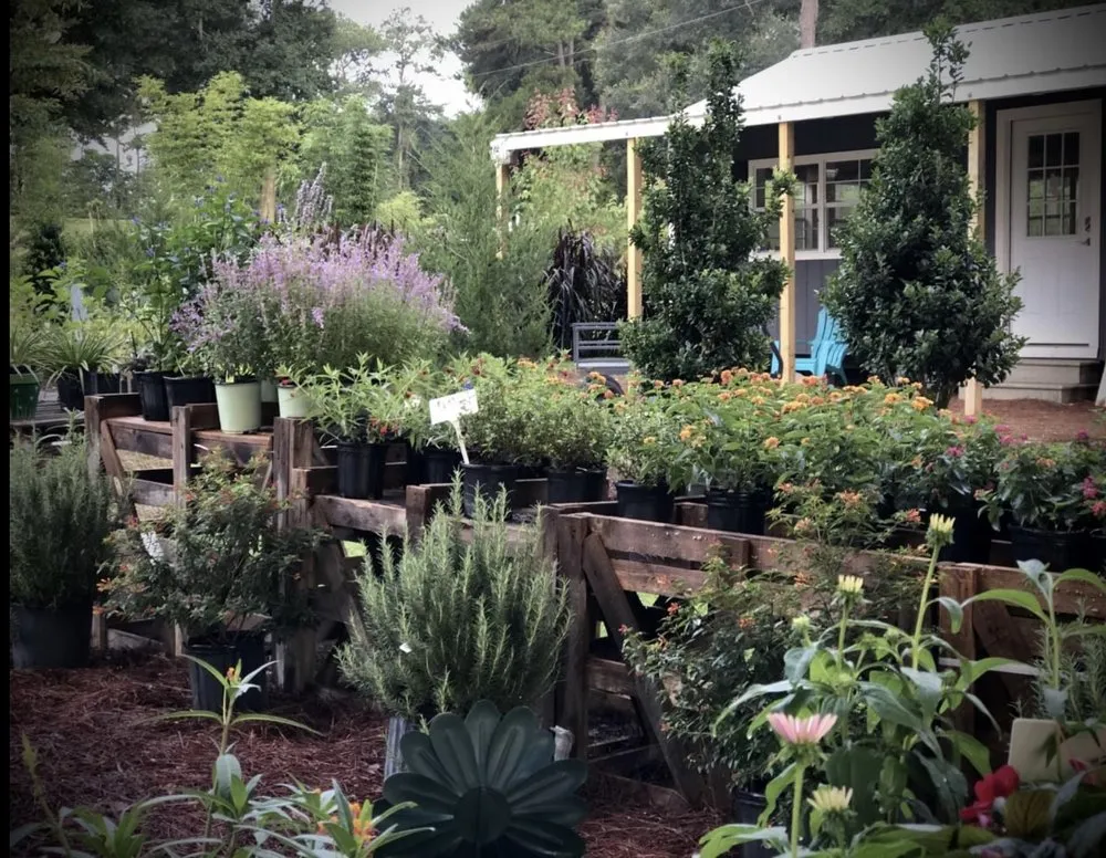 Trusted residential landscaping in Alachua, FL - Landscapes Unlimited Nursery