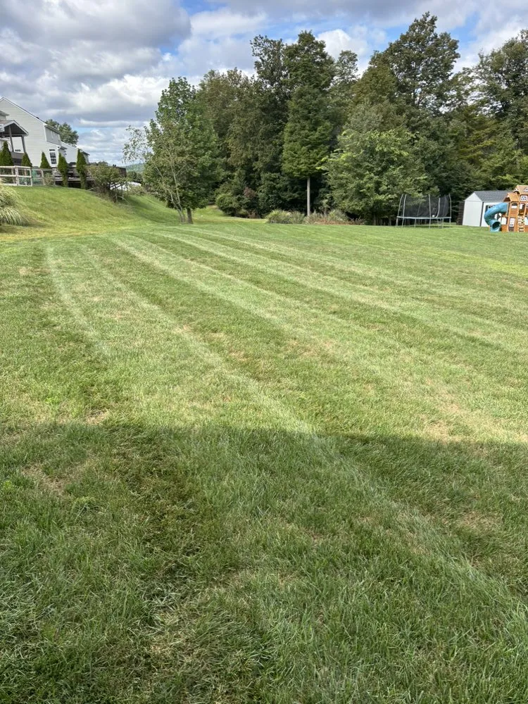 Reliable yard maintenance for outdoor upgrades in Trafford, PA by Landscapes Unlimited