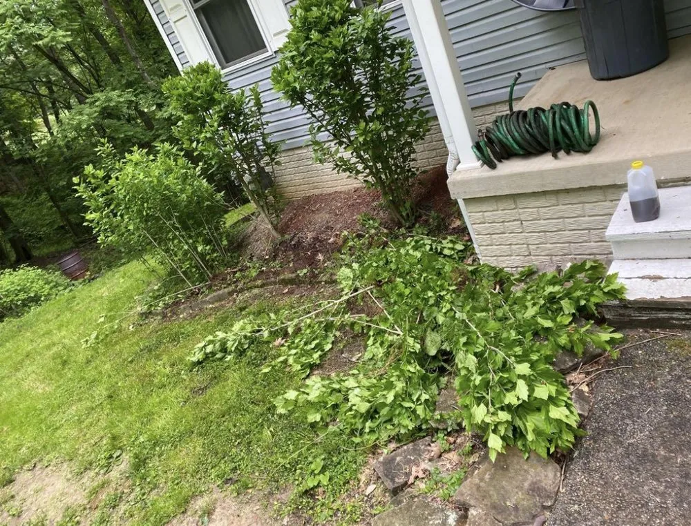 Affordable landscaping services in Trafford, PA by Landscapes Unlimited