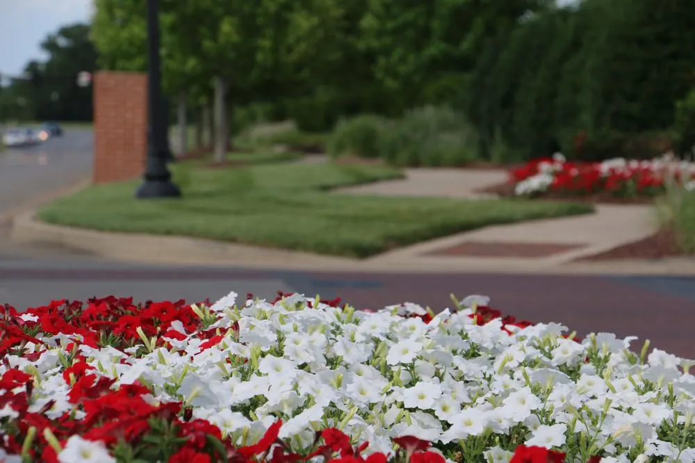 Local landscaping services for beautiful yards across Oklahoma City, OK - Landscapes USA