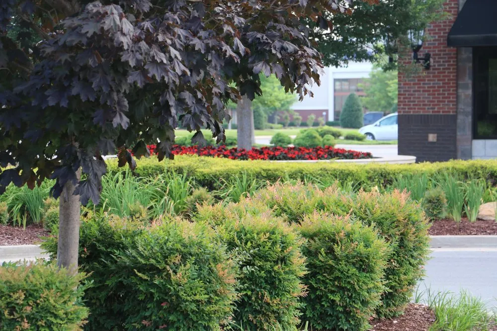 Trusted outdoor landscaping experts serving Oklahoma City, OK - Landscapes USA