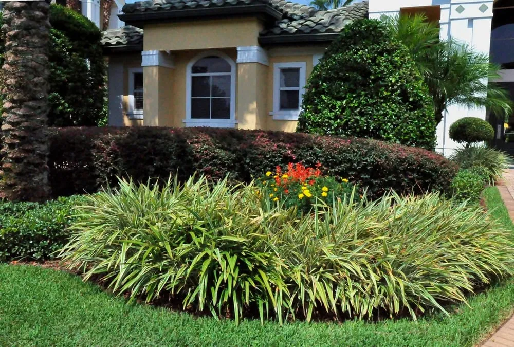 Affordable landscape installation in Orlando, FL - Landscapes USA