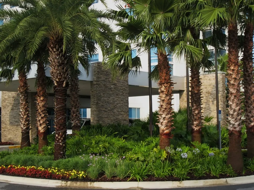 Reliable landscape installation for residential properties in Orlando, FL by Landscapes USA