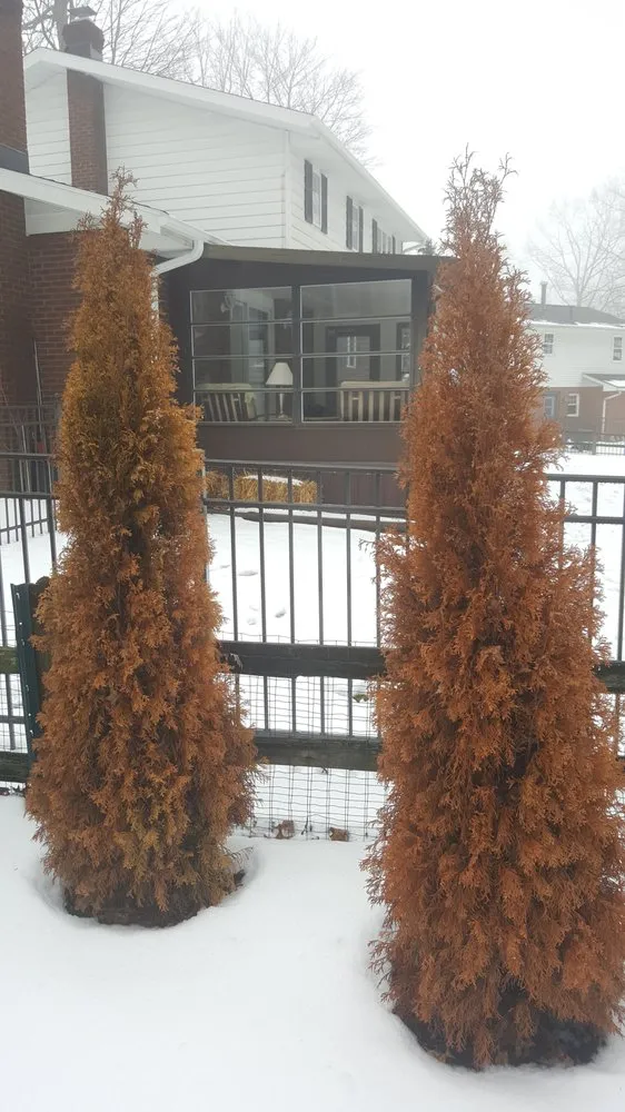 Top-rated yard maintenance in Akron, OH by Landscapes with Heart