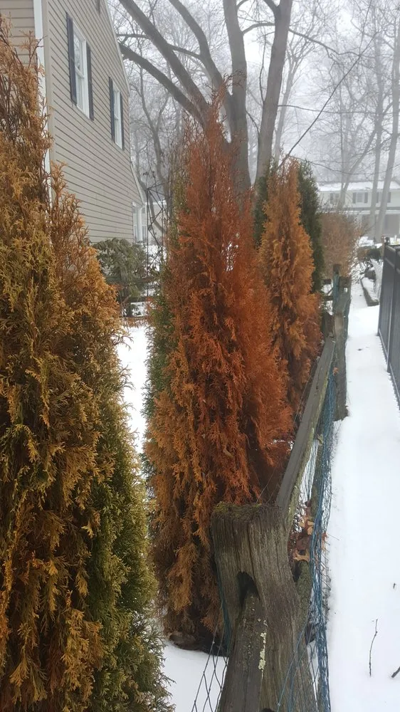 Top-rated garden landscaping experts serving Akron, OH - Landscapes with Heart