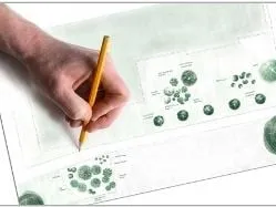 Top-rated landscape installation with custom design in Hawthorne, NJ by Landscapeworks