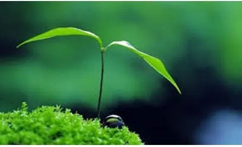 Local landscaping services for homes across Hawthorne, NJ - Landscapeworks