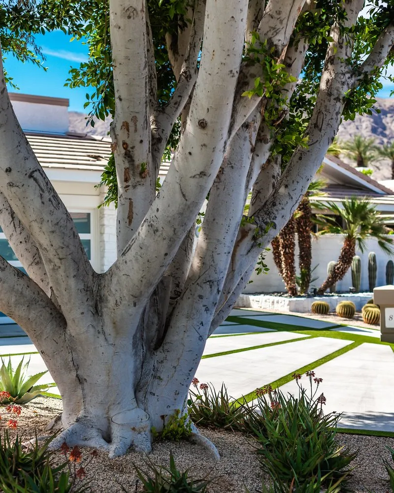 Expert landscaping services in Palm Desert, CA - LANDSCAPEWORKS INC
