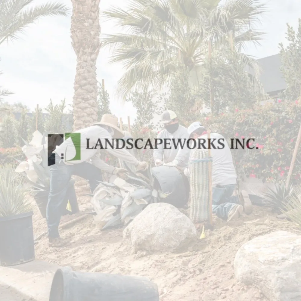 Local residential landscaping in Palm Desert, CA - LANDSCAPEWORKS INC