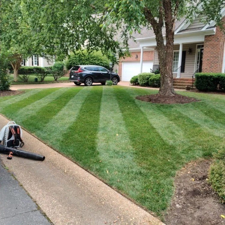 Expert lawn care service for beautiful yards across Williamsburg, VA - LandscapeX Lawn & Tree Removal services