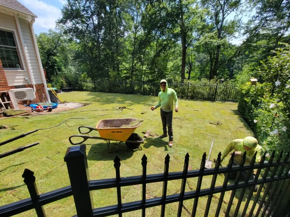 Professional residential landscaping experts serving Williamsburg, VA - LandscapeX Lawn & Tree Removal services