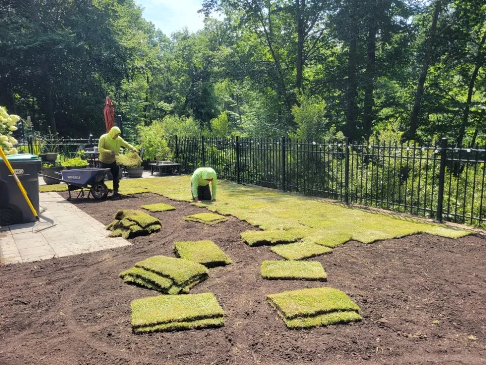 Top-rated lawn mowing service near you across Williamsburg, VA - LandscapeX Lawn & Tree Removal services