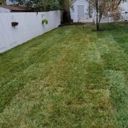 Top-rated yard maintenance experts serving Williamsburg, VA - LandscapeX Lawn & Tree Removal services