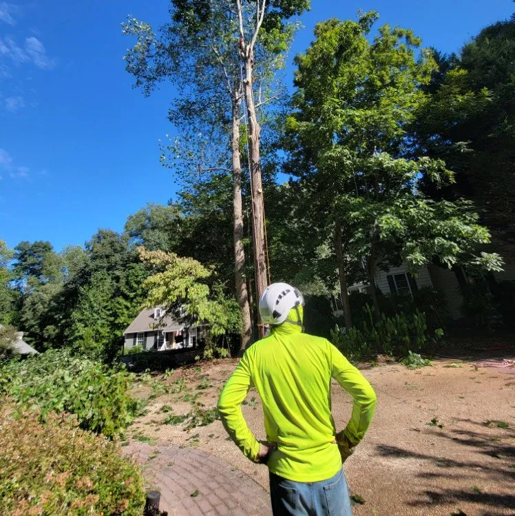 Custom residential landscaping in Williamsburg, VA - LandscapeX Lawn & Tree Removal services