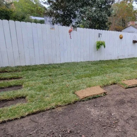 Top-rated landscaping services in Williamsburg, VA - LandscapeX Lawn & Tree Removal services