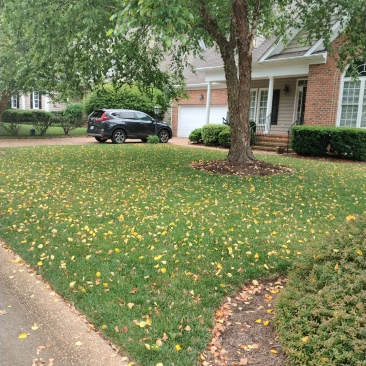 Trusted outdoor landscaping in Williamsburg, VA - LandscapeX Lawn & Tree Removal services