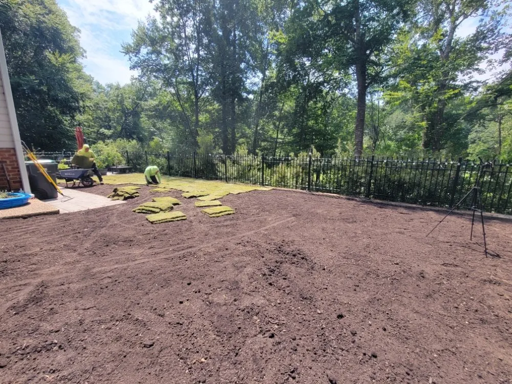 Reliable lawn care service in Williamsburg, VA - LandscapeX Lawn & Tree Removal services