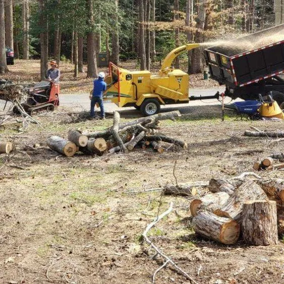 Expert residential landscaping in Williamsburg, VA by LandscapeX Lawn & Tree Removal services