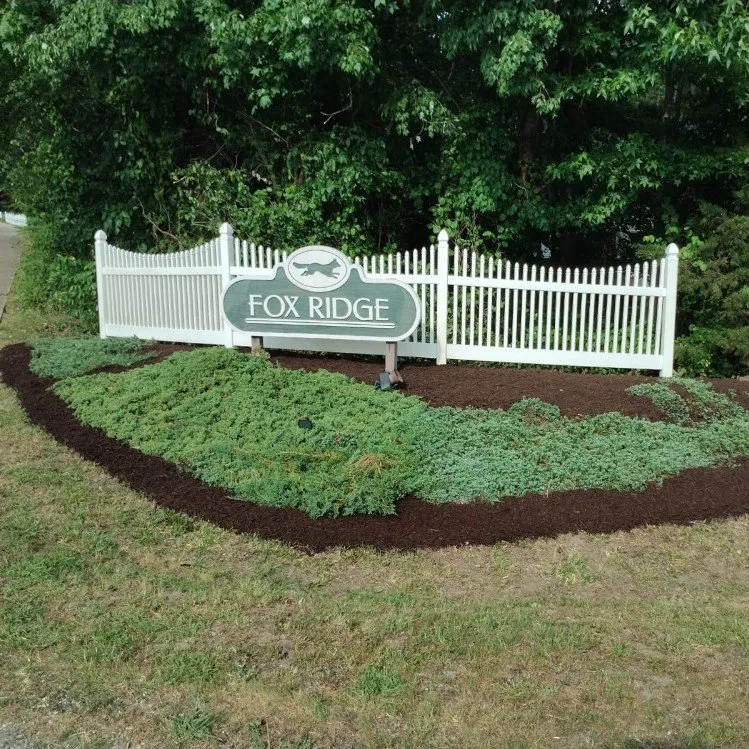 Top-rated yard maintenance in Williamsburg, VA - LandscapeX Lawn & Tree Removal services