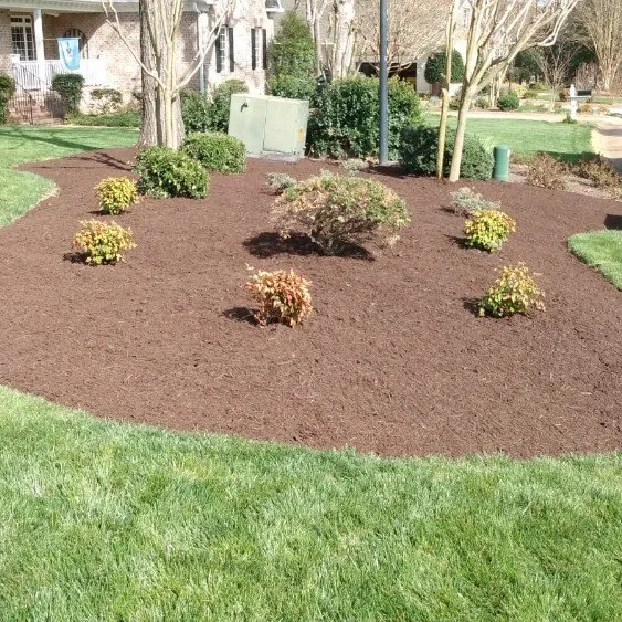 Reliable yard maintenance with custom design across Williamsburg, VA - LandscapeX Lawn & Tree Removal services