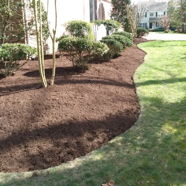 Top-rated landscape design for homes across Williamsburg, VA - LandscapeX Lawn & Tree Removal services