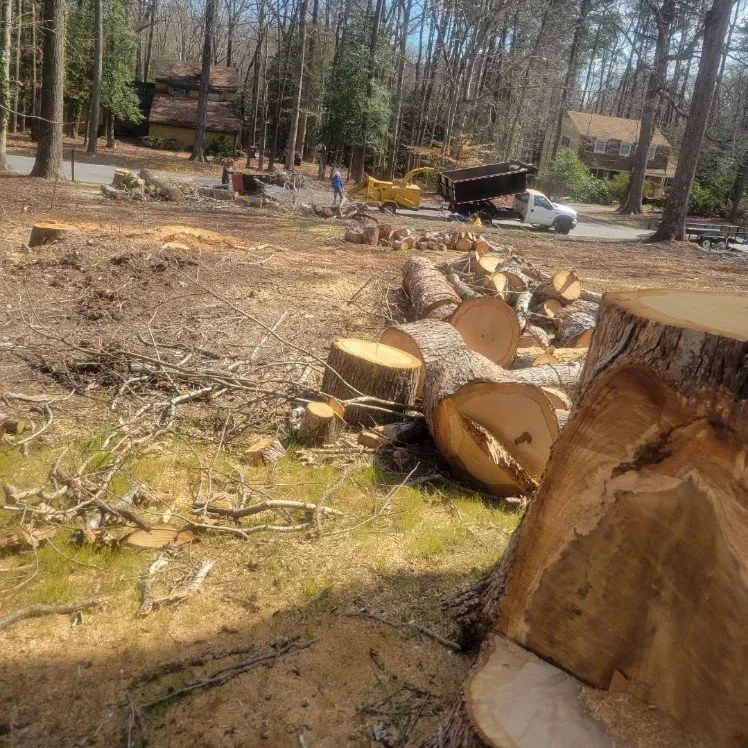 Local garden landscaping experts serving Williamsburg, VA - LandscapeX Lawn & Tree Removal services