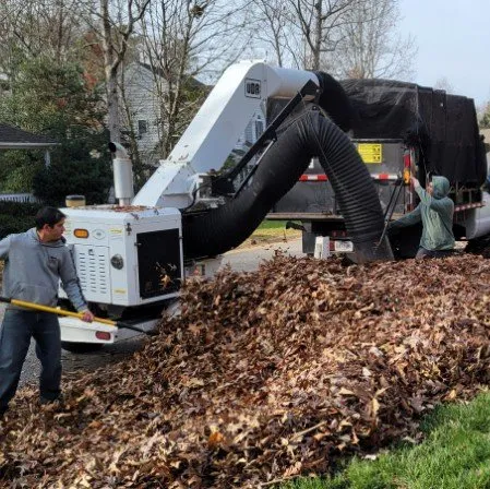 Top-rated residential landscaping for residential properties across Williamsburg, VA - LandscapeX Lawn & Tree Removal services