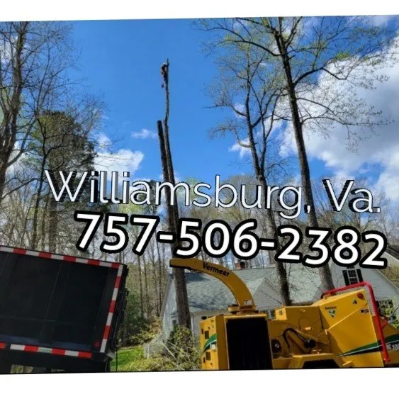 Reliable residential landscaping experts serving Williamsburg, VA - LandscapeX Lawn & Tree Removal services