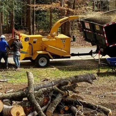 Top-rated landscape design in Williamsburg, VA - LandscapeX Lawn & Tree Removal services