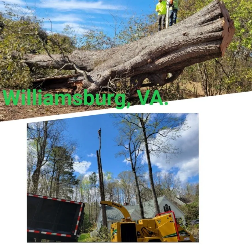 Top-rated outdoor landscaping near you across Williamsburg, VA - LandscapeX Lawn & Tree Removal services